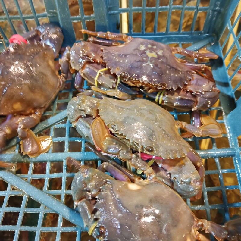 社区团购，一场线上线下融合的商业革命