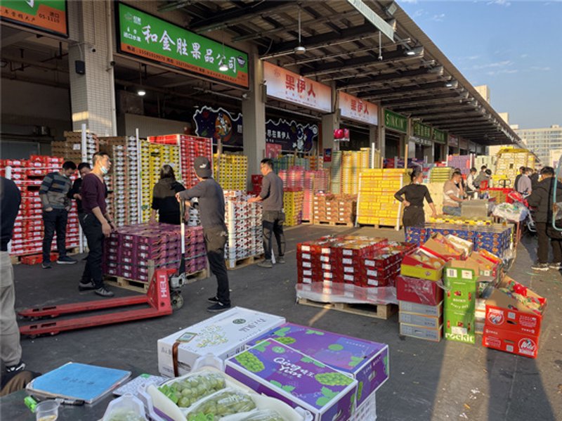 宁波生鲜配送:市场现状与未来趋势解析