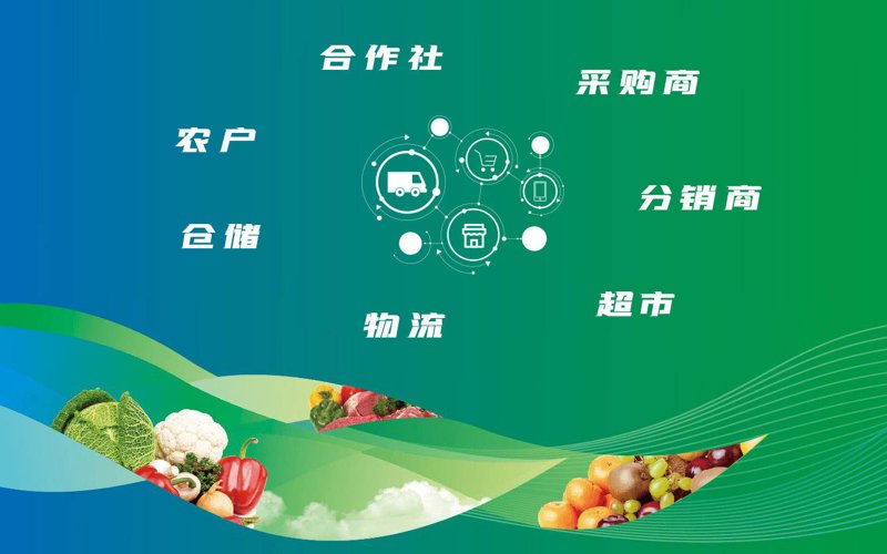 生鲜批发行业的成功秘诀：深度解析与实战攻略