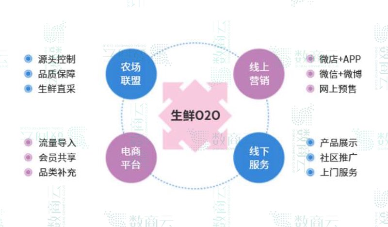 社区团购：如何在激烈竞争中脱颖而出