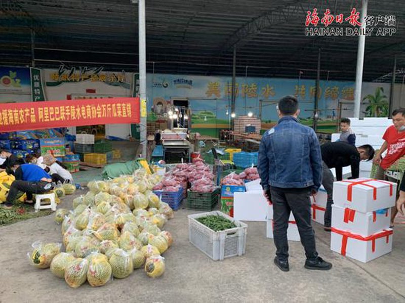 生鲜电商平台:如何选择靠谱的购物渠道?